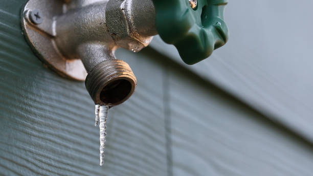Best Shower Repair Services  in Arnold Line, MS